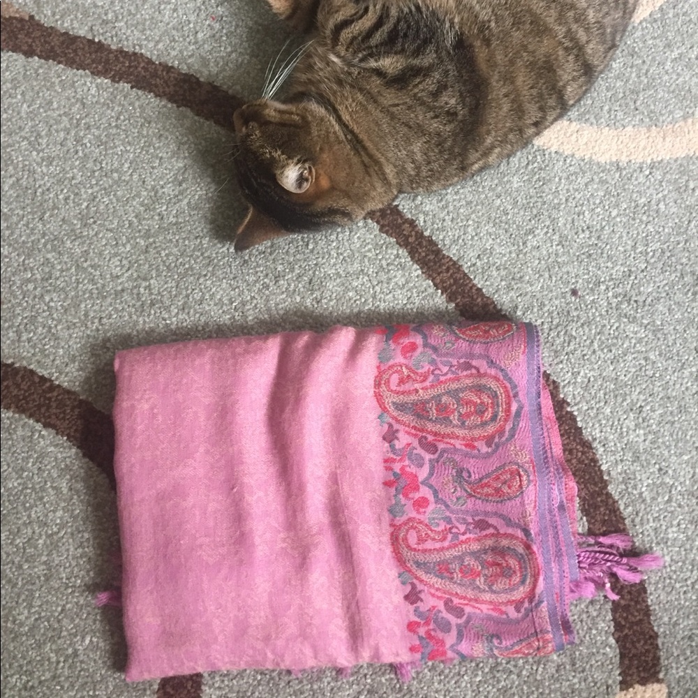 Pink pashmina